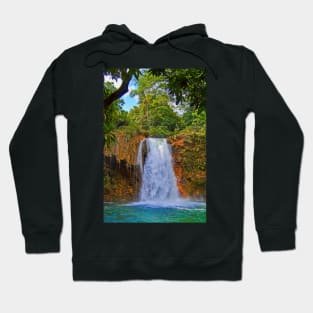 Waterfall Hoodie